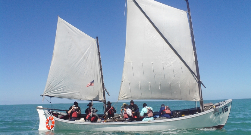 A sailboat containing a small group of people floats in calm water under a blue sky.